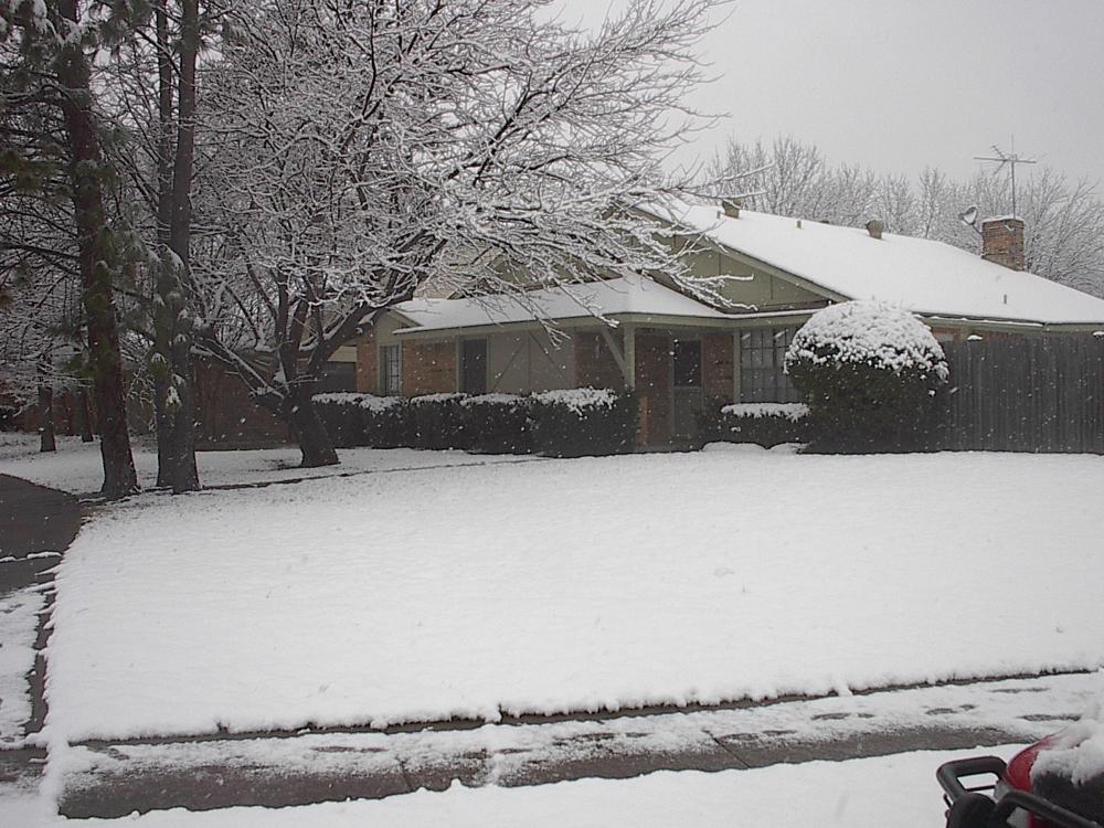 Dallas Snow 2004